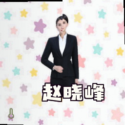 赵晓峰